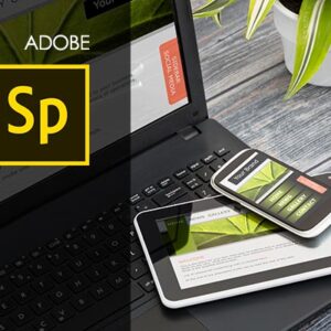 Adobe Spark Training