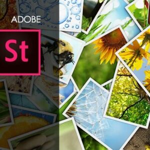 Adobe Stock Training