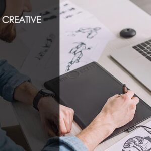 Introduction to Animation Training Course